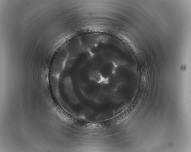 X0000090860398200708101223