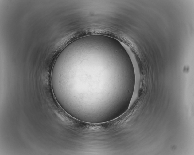 X0000090860401200708101223