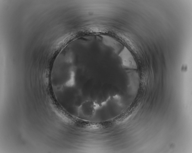 X0000090860402200708101223