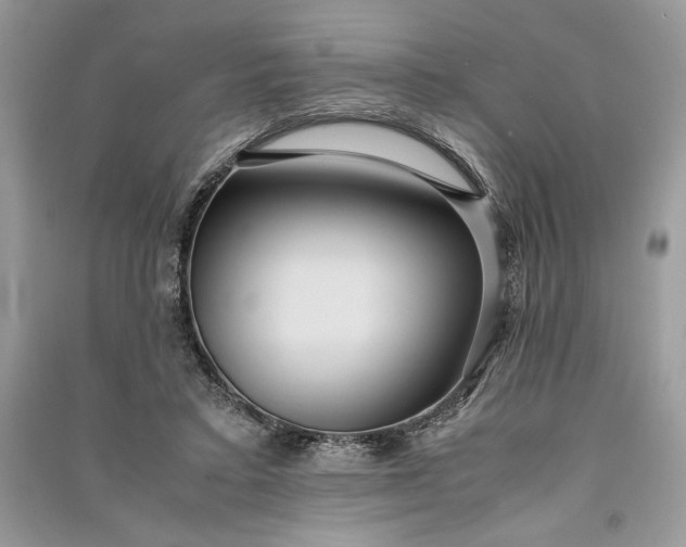 X0000090860403200708101223