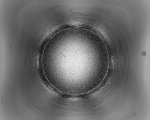 X0000090860404200708101223