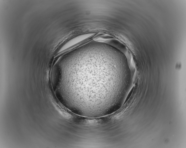 X0000090860405200708101223