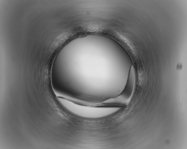 X0000090860407200708101223