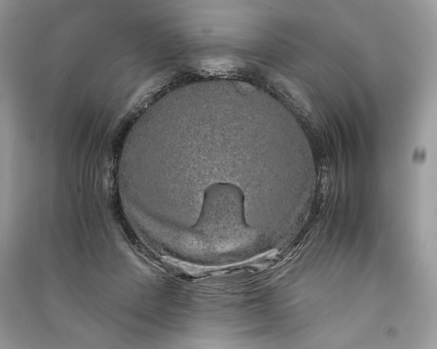 X0000090860408200708101223