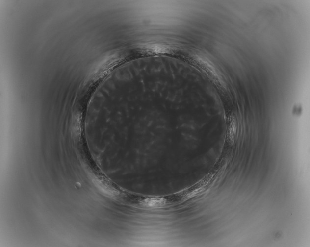 X0000090860410200708101223