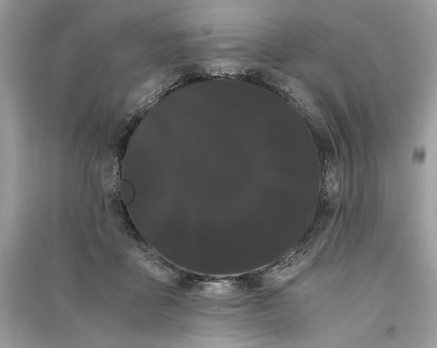 X0000090860411200708101223