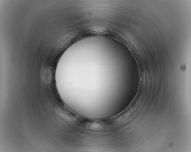 X0000090860412200708101223