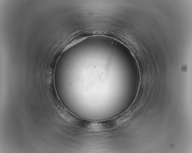 X0000090860413200708101223