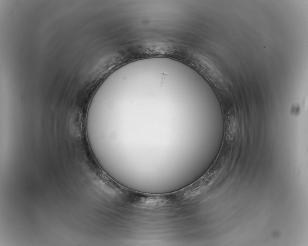 X0000090860414200708101223