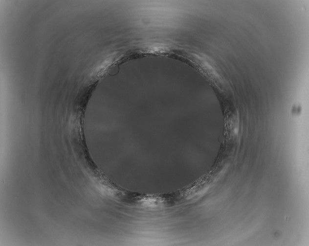 X0000090860415200708101223