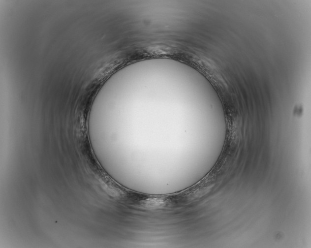 X0000090860418200708101223