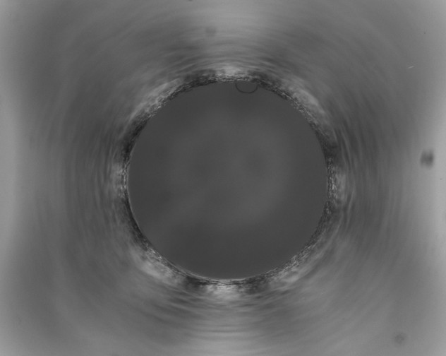 X0000090860419200708101223