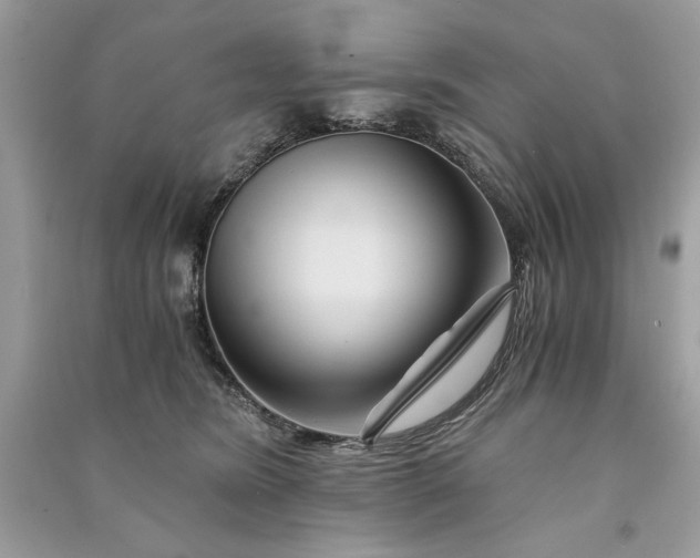 X0000090860420200708101223