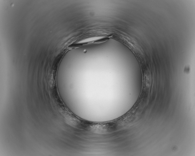 X0000090860422200708101223