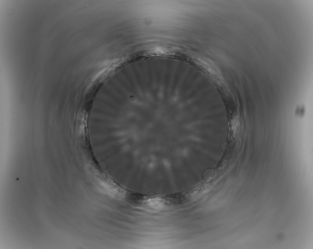 X0000090860423200708101223