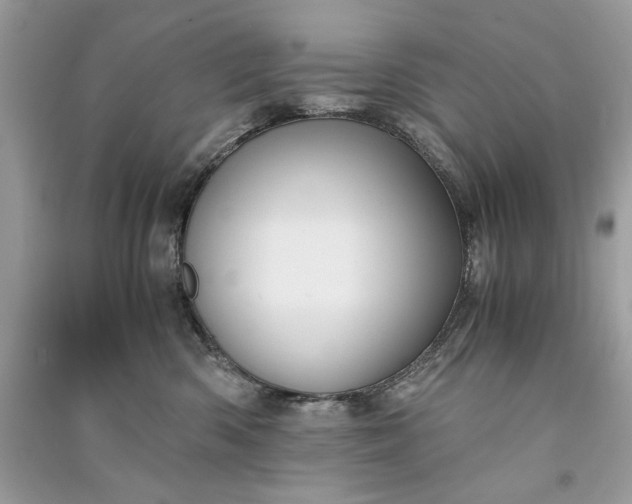 X0000090860426200708101223