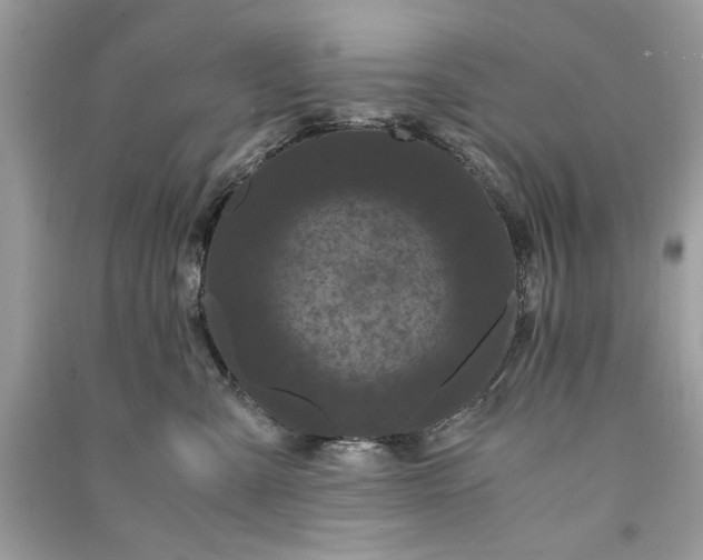 X0000090860427200708101223