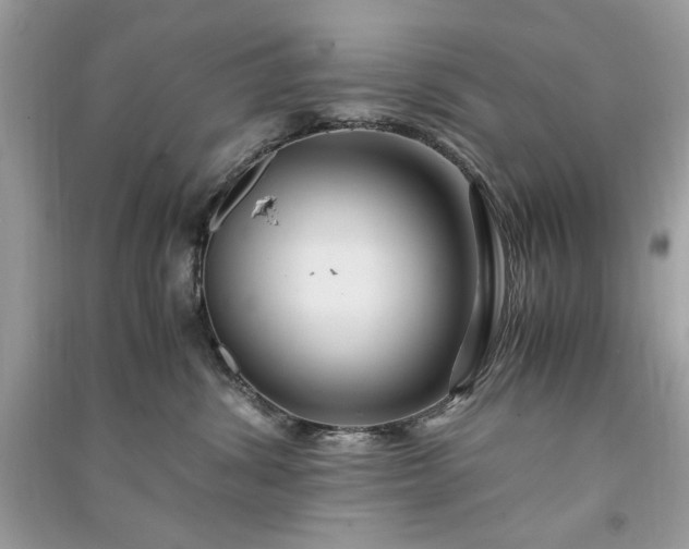 X0000090860428200708101223