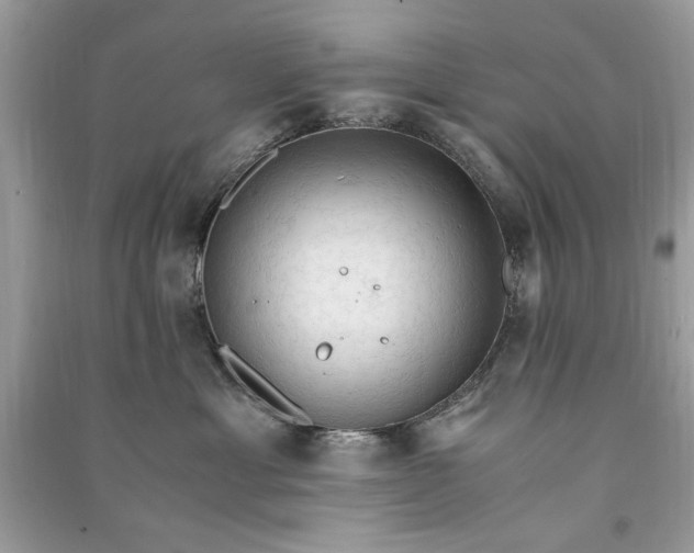 X0000090860429200708101223