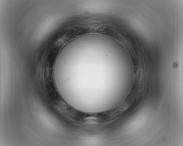 X0000090860430200708101223