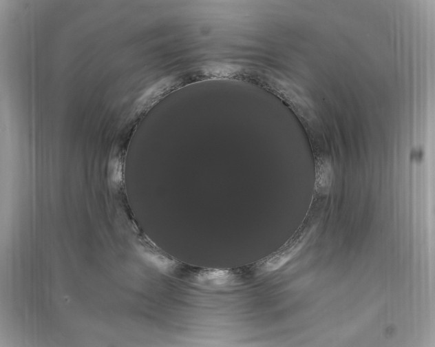 X0000090860431200708101223