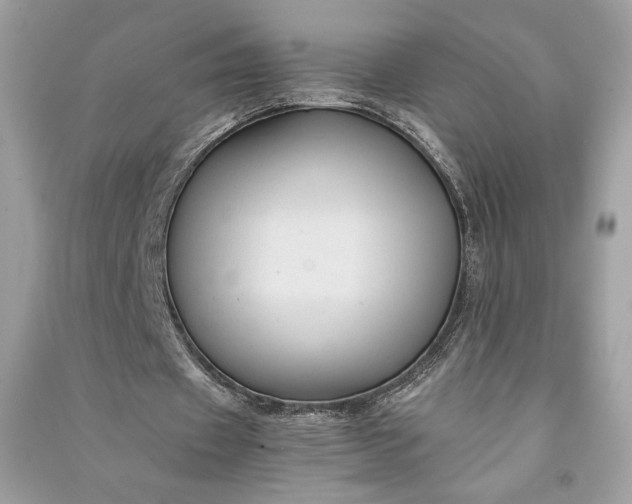 X0000090860433200708101222