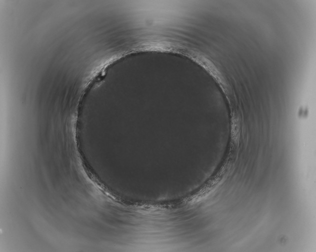 X0000090860434200708101222