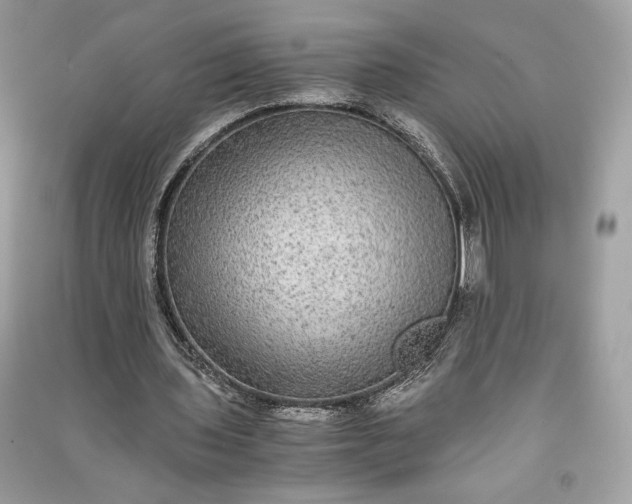 X0000090860435200708101222