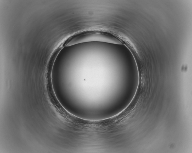 X0000090860436200708101222