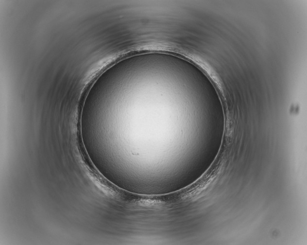 X0000090860437200708101222