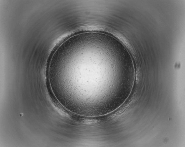 X0000090860438200708101222