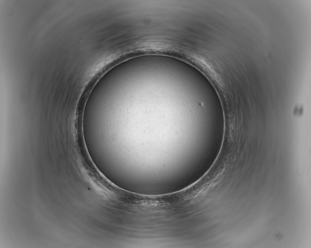 X0000090860439200708101222