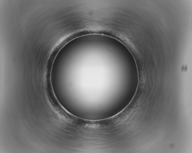 X0000090860440200708101222