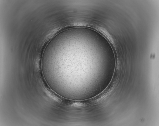 X0000090860441200708101222