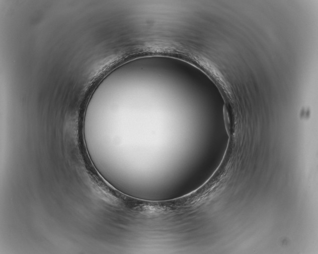 X0000090860442200708101222