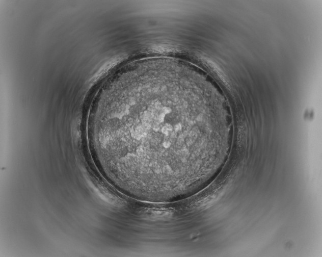 X0000090860443200708101222