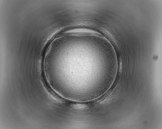 X0000090860444200708101222