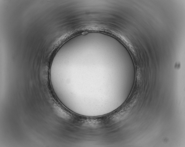 X0000090860445200708101223