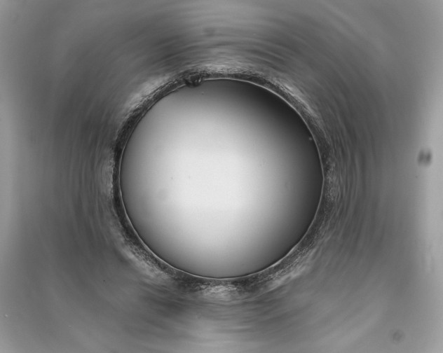 X0000090860446200708101223