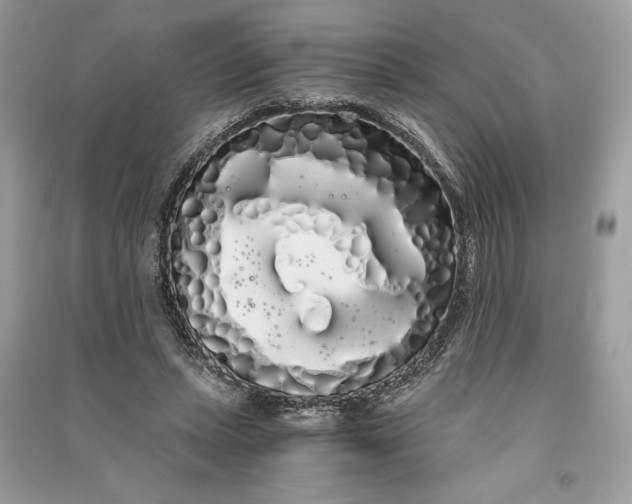 X0000090860447200708101223