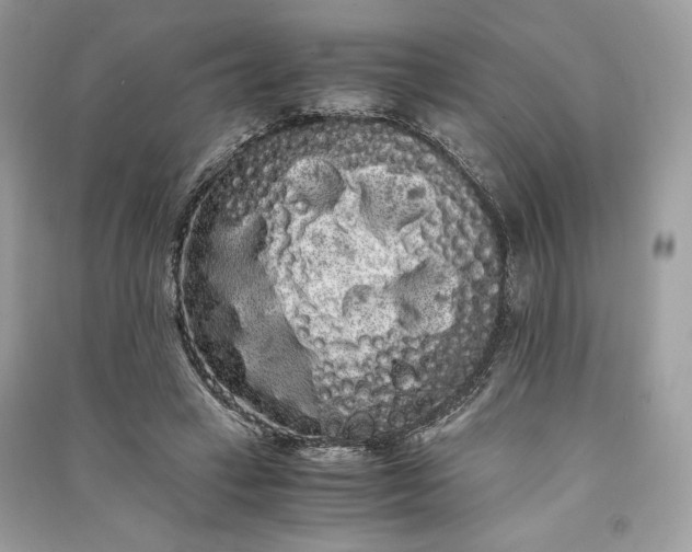 X0000090860449200708101223