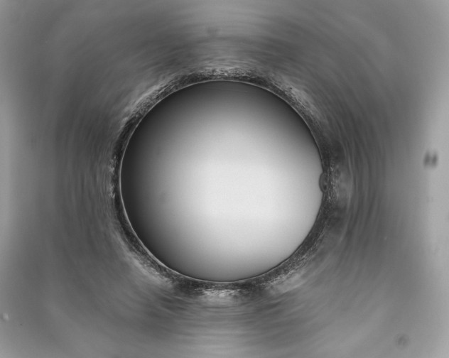 X0000090860450200708101223