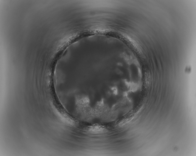 X0000090860451200708101223