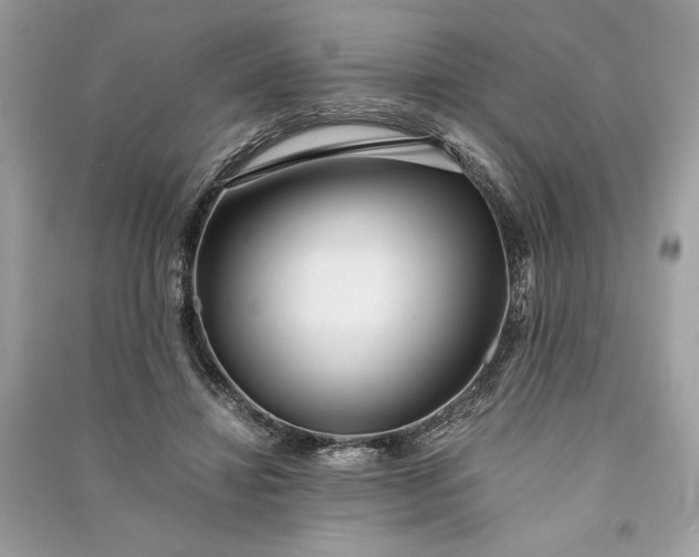 X0000090860452200708101223