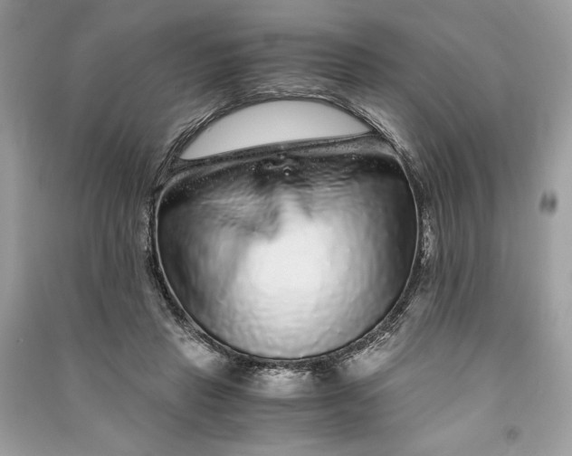 X0000090860453200708101223