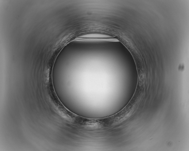 X0000090860454200708101223