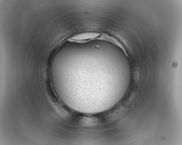 X0000090860455200708101223