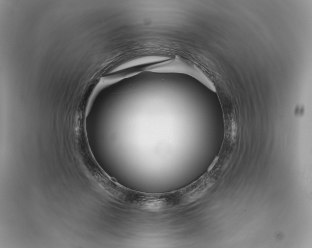 X0000090860456200708101223