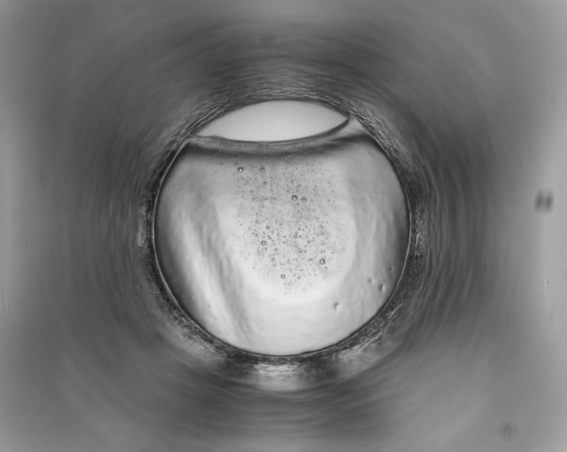 X0000090860457200708101223