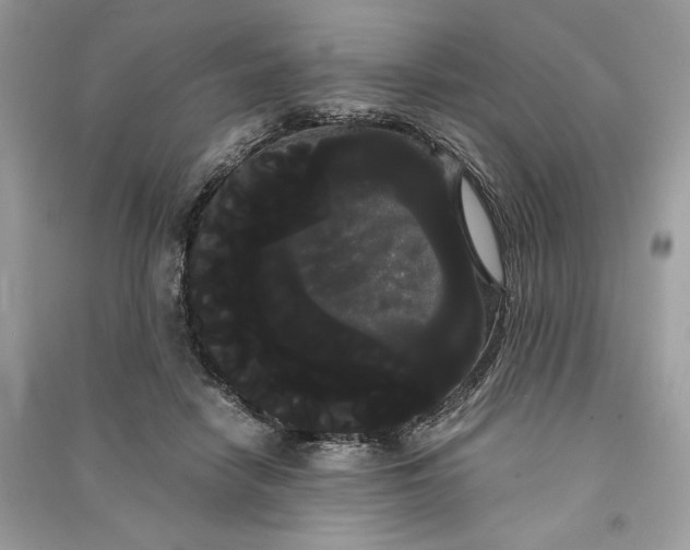 X0000090860458200708101223